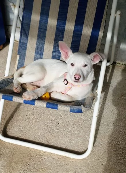 Giorgia aspetta la sua famiglia 