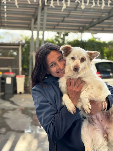 Luna cagnolina visibile a Ferrara  | Foto 3