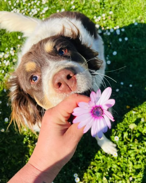 Molly una montagna di zucchero  | Foto 3