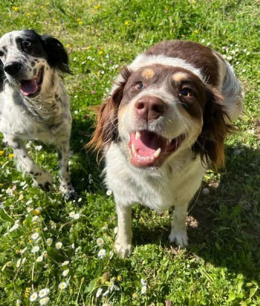 Molly una montagna di zucchero  | Foto 1