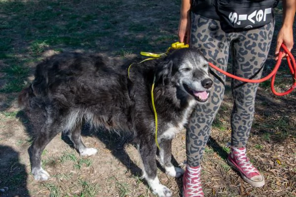 Sorriso 8 anni | Foto 0