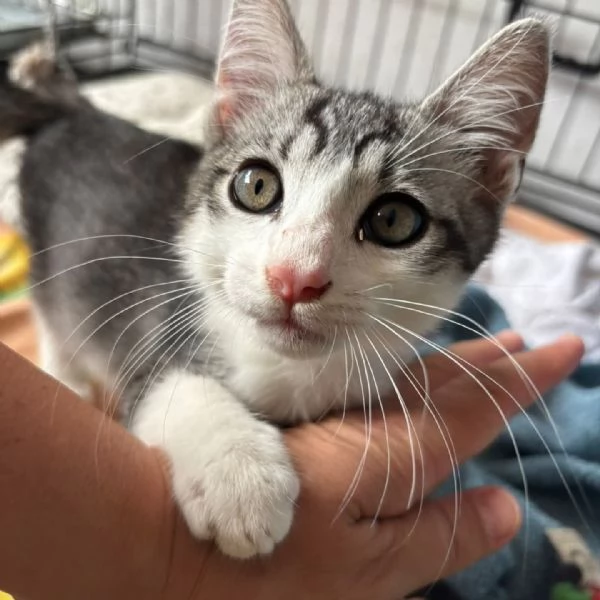 Arturo 3 mesi