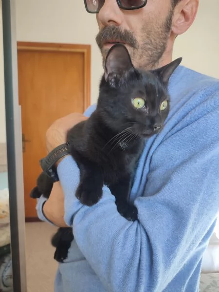 Kelly 5 mesi  | Foto 0