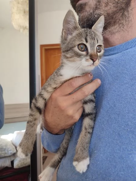 Giacomino 3 mesi  | Foto 2