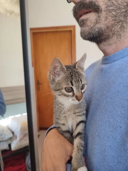 Giacomino 3 mesi  | Foto 1