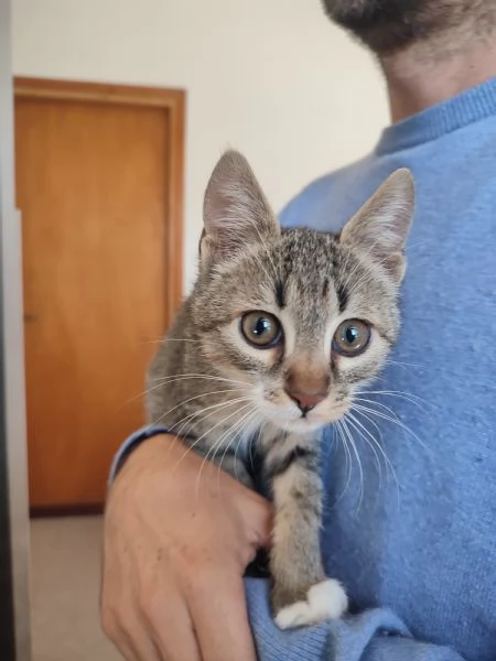 Giacomino 3 mesi  | Foto 0