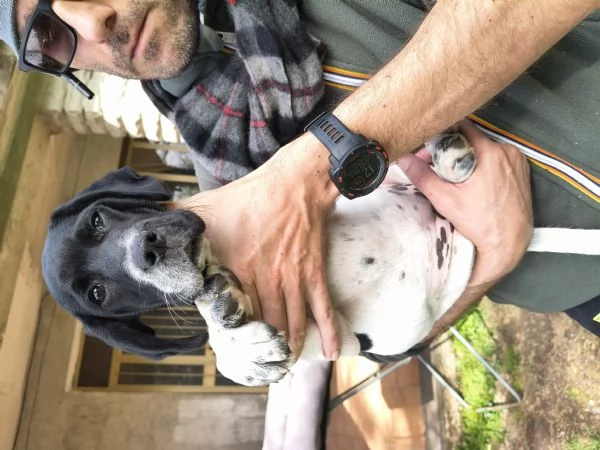 Sofia 2 mesi  | Foto 3