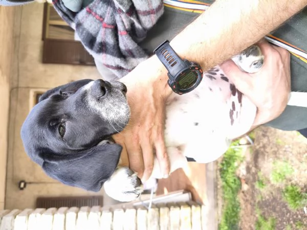 Sofia 2 mesi  | Foto 2