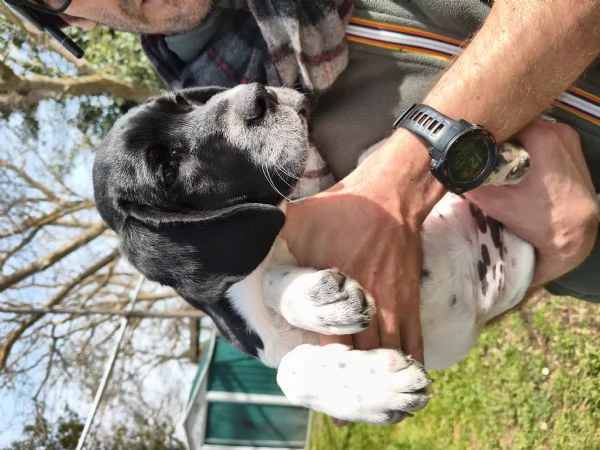 Sofia 2 mesi  | Foto 1