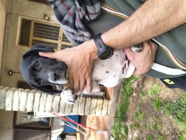 Sofia 2 mesi  | Foto 0