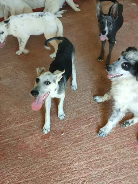 PIERINO UNA VITA DIETRO LE SBARRE SOGNA LA LIBERTagrave   | Foto 2