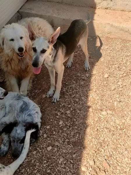 PIERINO UNA VITA DIETRO LE SBARRE SOGNA LA LIBERTagrave  