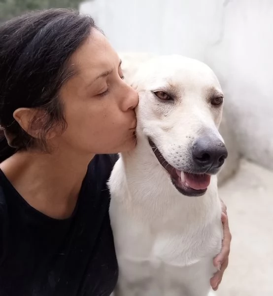 Balu Splendido Cucciolotto Dolce Cerca Famiglia | Foto 5
