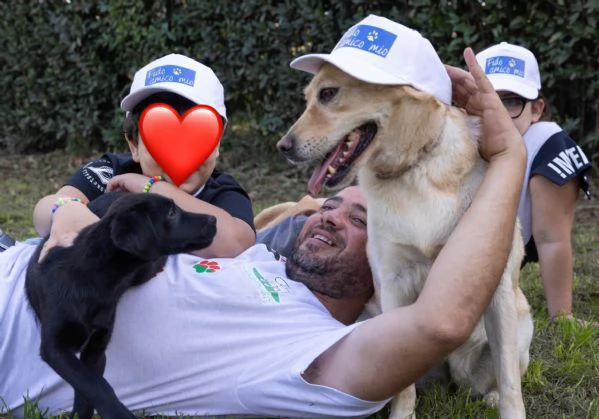 Matilde Salvata Da Un Canile Lager Cerca Famiglia | Foto 0