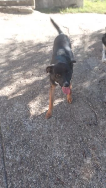 Timothy stupendo giovanotto cerca famiglia | Foto 2