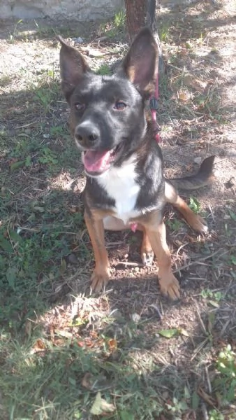 Timothy stupendo giovanotto cerca famiglia | Foto 0