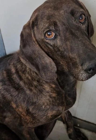 Michele splendida anima bisognosa cerca famiglia  | Foto 1