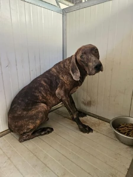 Michele splendida anima bisognosa cerca famiglia 