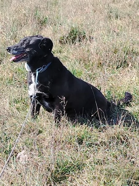 Kaala un amore garantito | Foto 3