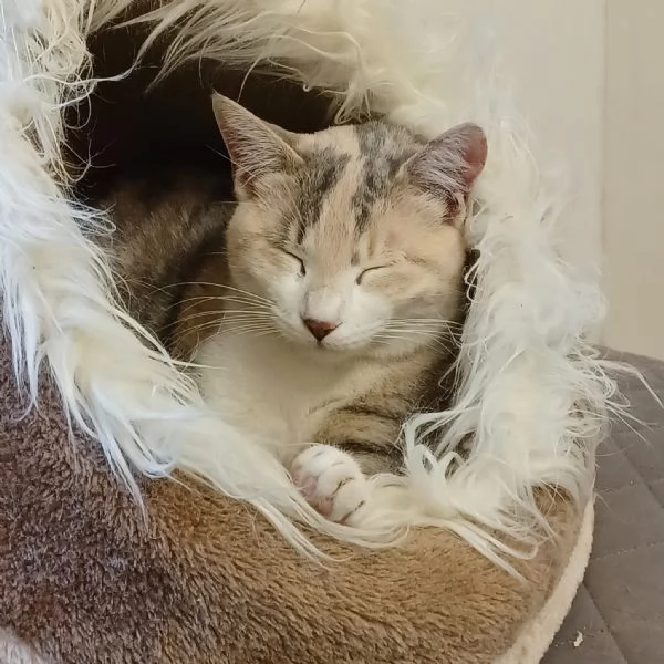 BONNIE 6 mesi dolce come il miele | Foto 2