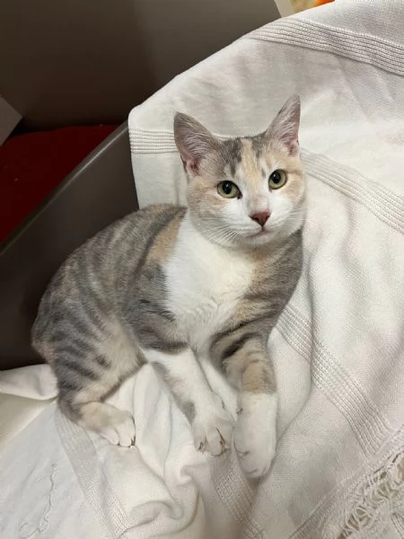 BONNIE 6 mesi dolce come il miele | Foto 1