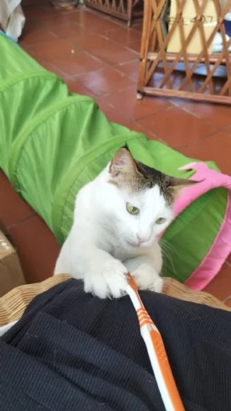 Garfield  Greta   | Foto 4