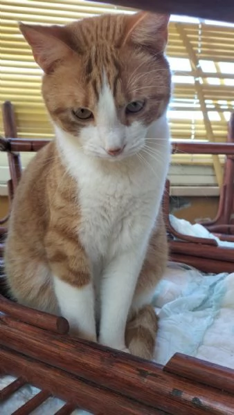 Garfield  Greta   | Foto 3