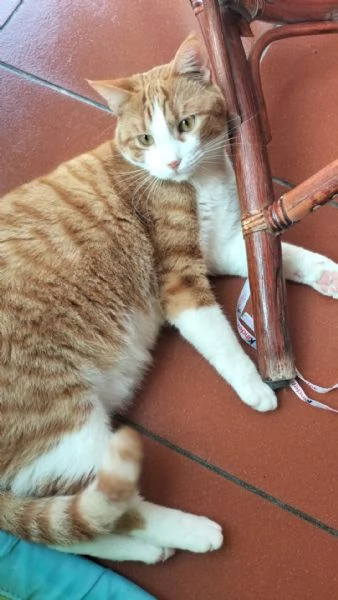Garfield  Greta   | Foto 1