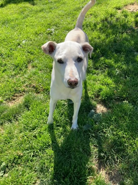 Bianca  | Foto 3