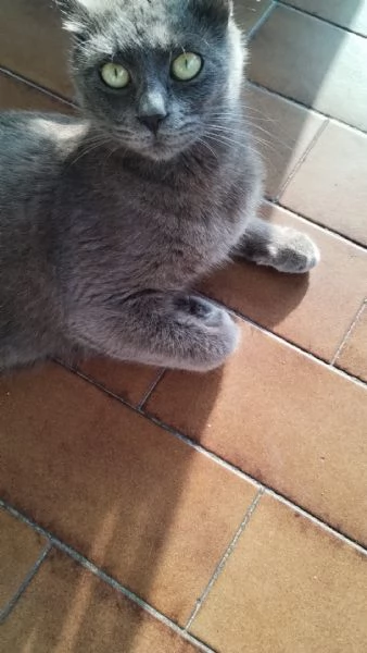 MAMMA E I SUOI CUCCIOLO | Foto 2