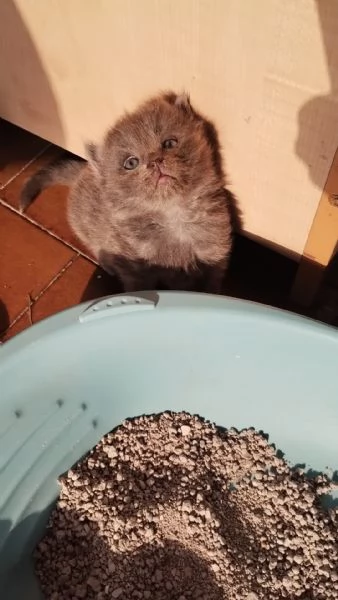 MAMMA E I SUOI CUCCIOLO | Foto 0