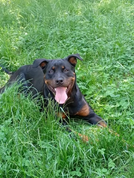 CAGNOLINE | Foto 3