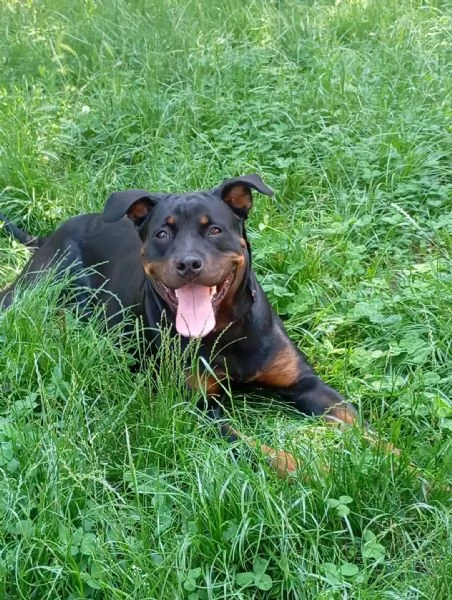 CAGNOLINE | Foto 2