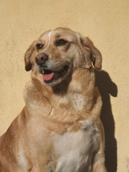 shila sogna una casa per lei ❤️ | Foto 6