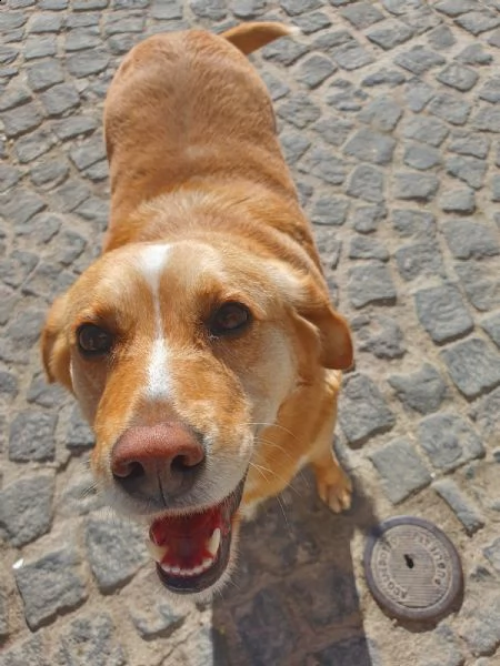 shila sogna una casa per lei ❤️ | Foto 5