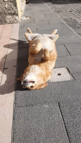 shila sogna una casa per lei ❤️ | Foto 4
