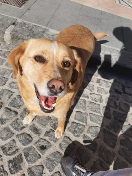 shila sogna una casa per lei ❤️ | Foto 3