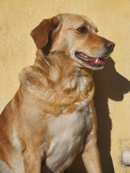 shila sogna una casa per lei ❤️ | Foto 1