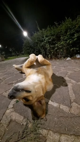 shila sogna una casa per lei ❤️ | Foto 0
