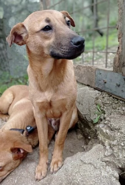 taglie piccole | Foto 5