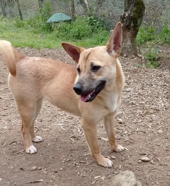 la piccola tabata