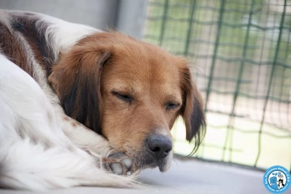 Ken il silenzio negli occhi di chi ha perso tutto | Foto 3