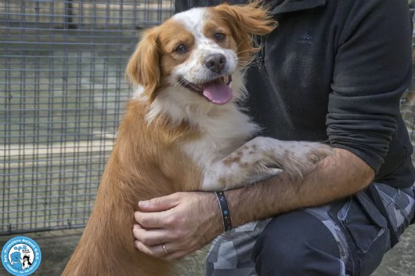 ROKY  Quando perdi tutto ma non la voglia di amare | Foto 5