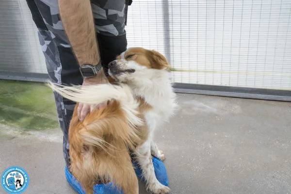 ROKY  Quando perdi tutto ma non la voglia di amare | Foto 4