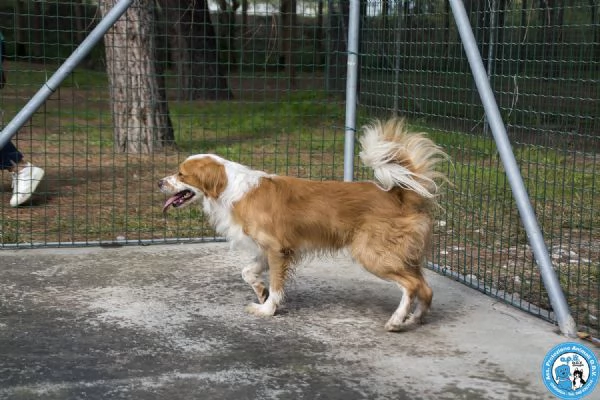 ROKY  Quando perdi tutto ma non la voglia di amare | Foto 3