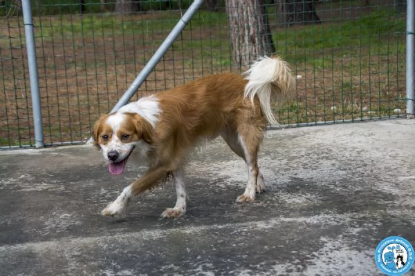 ROKY  Quando perdi tutto ma non la voglia di amare | Foto 2