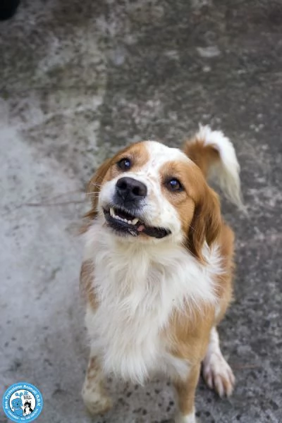 ROKY  Quando perdi tutto ma non la voglia di amare | Foto 1