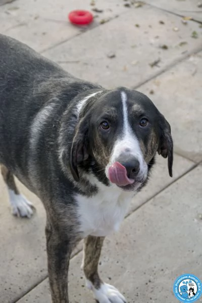 Blaky il gigante buono in cerca di un nuovo inizio | Foto 0