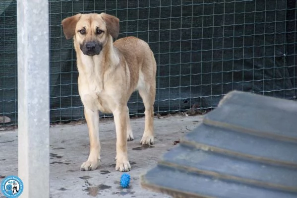 Pam cerca chi sappia vederla davvero | Foto 4