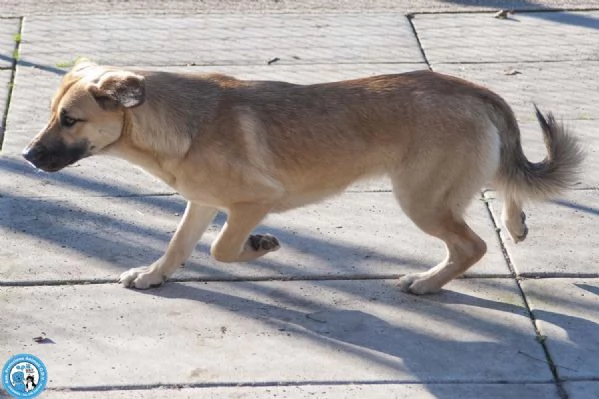 Pam cerca chi sappia vederla davvero | Foto 3